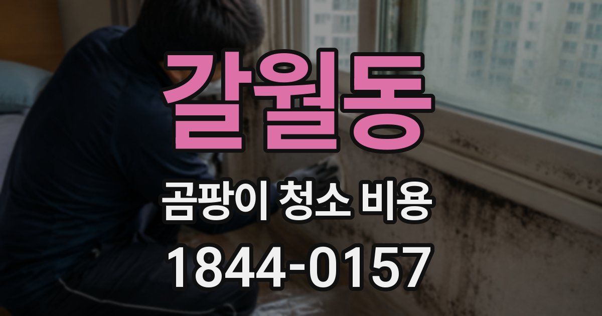갈월동 곰팡이 청소 비용
