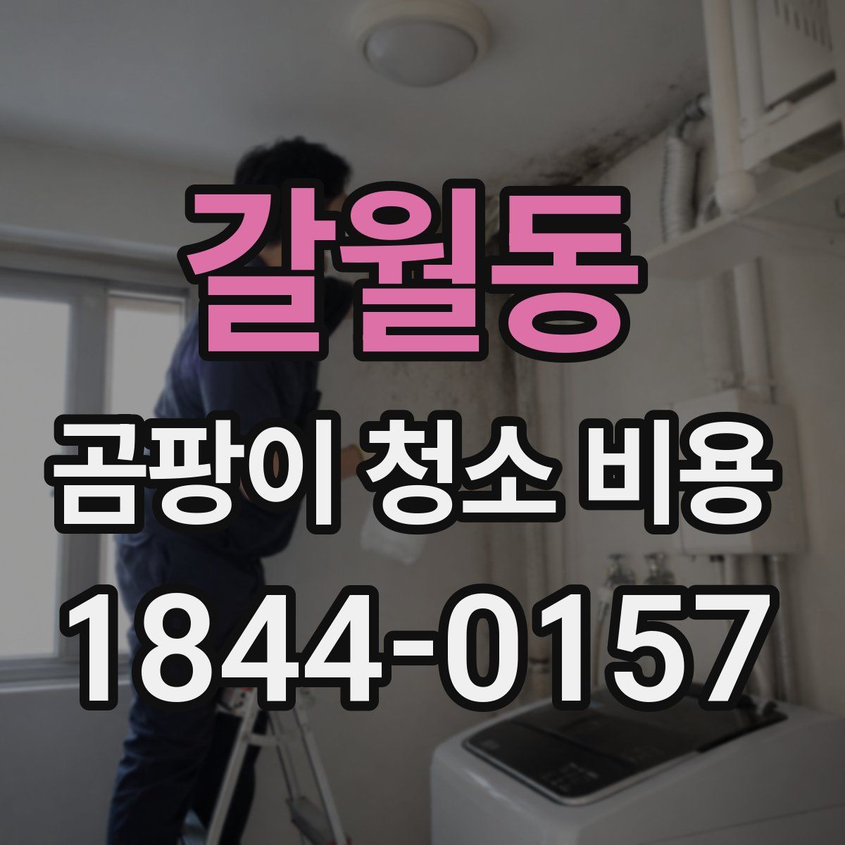 갈월동 곰팡이 청소 비용