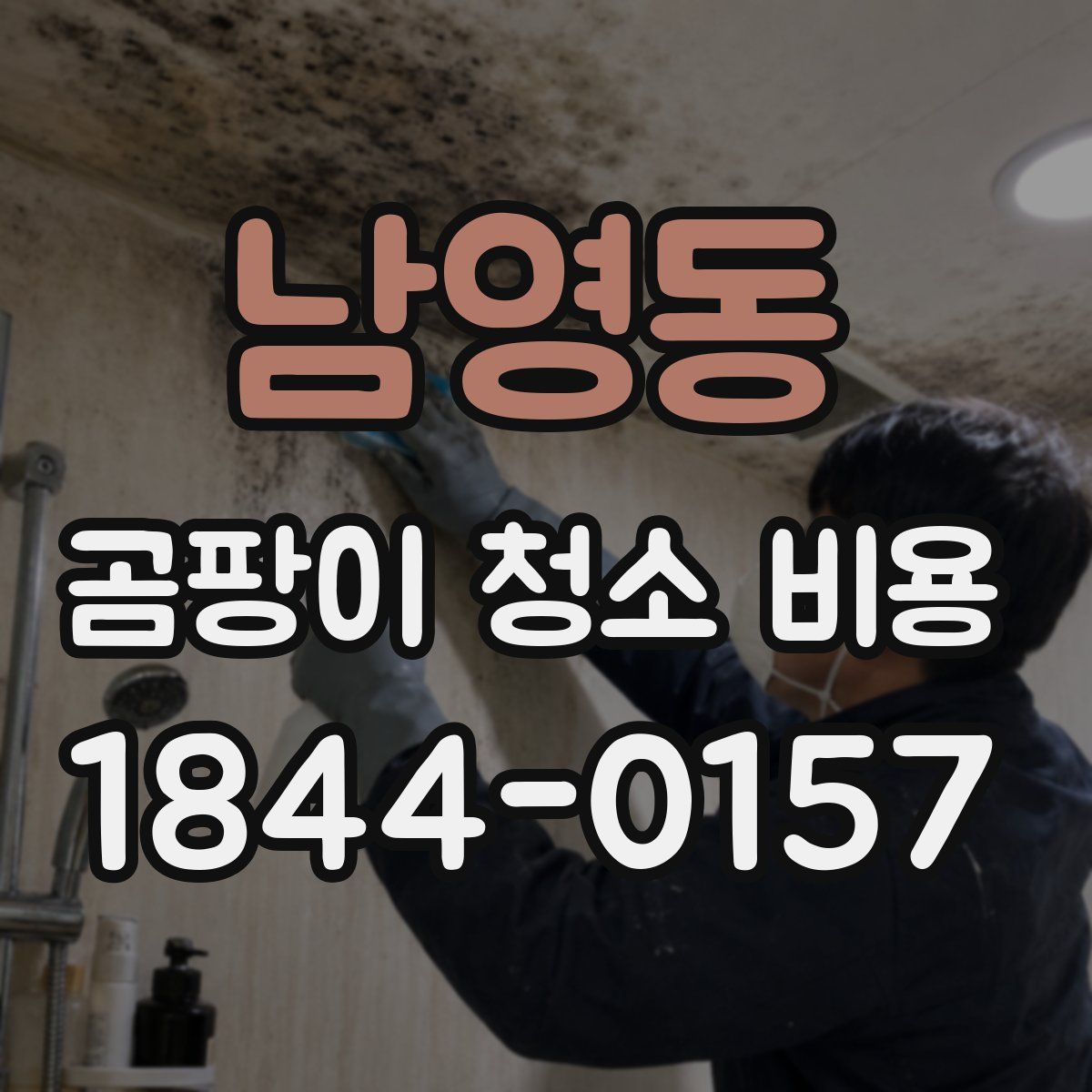 남영동 곰팡이 청소 비용