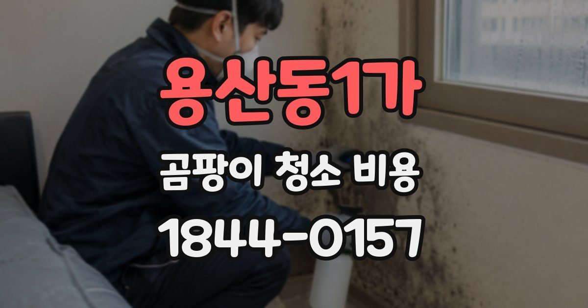 용산동1가 곰팡이 청소 비용