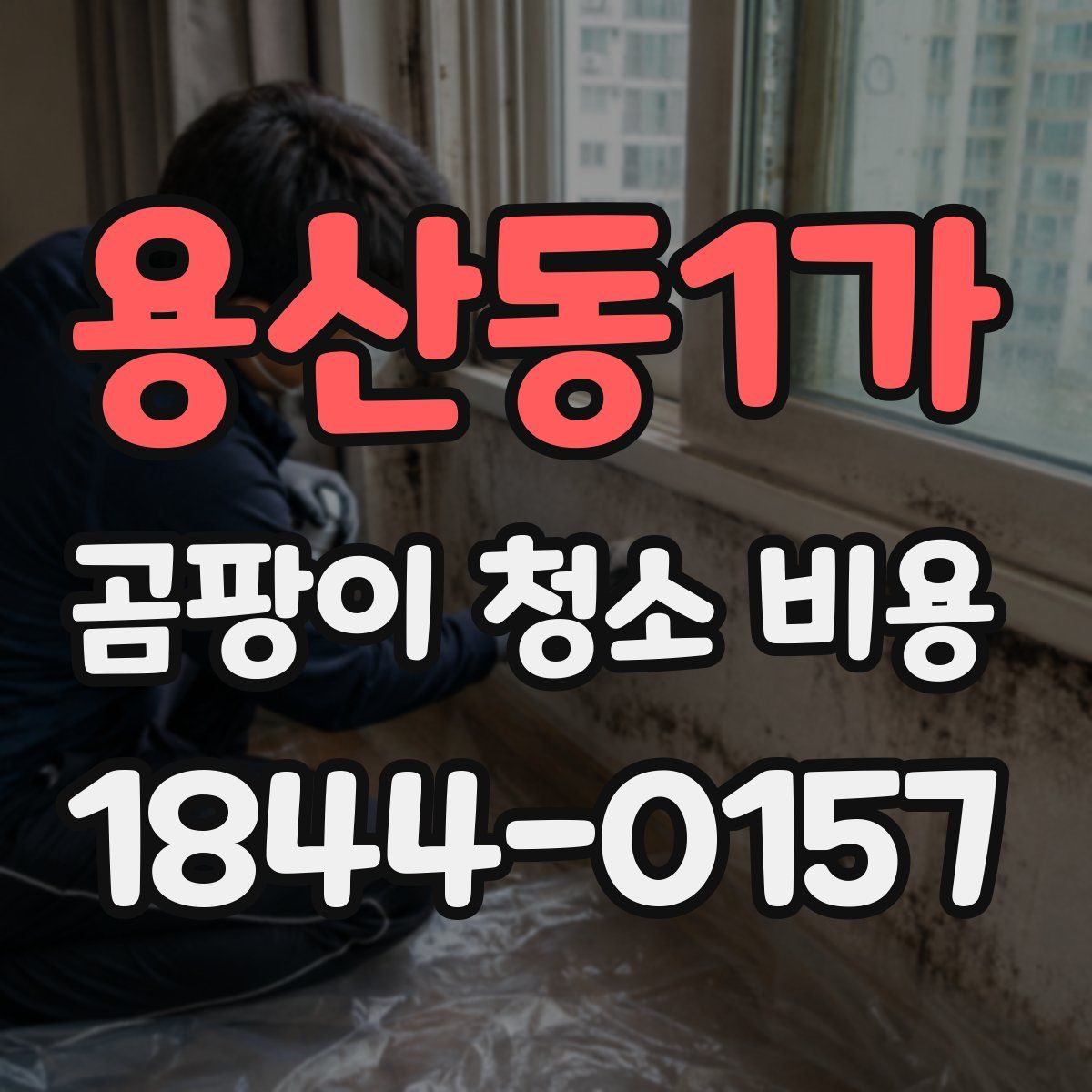 용산동1가 곰팡이 청소 비용