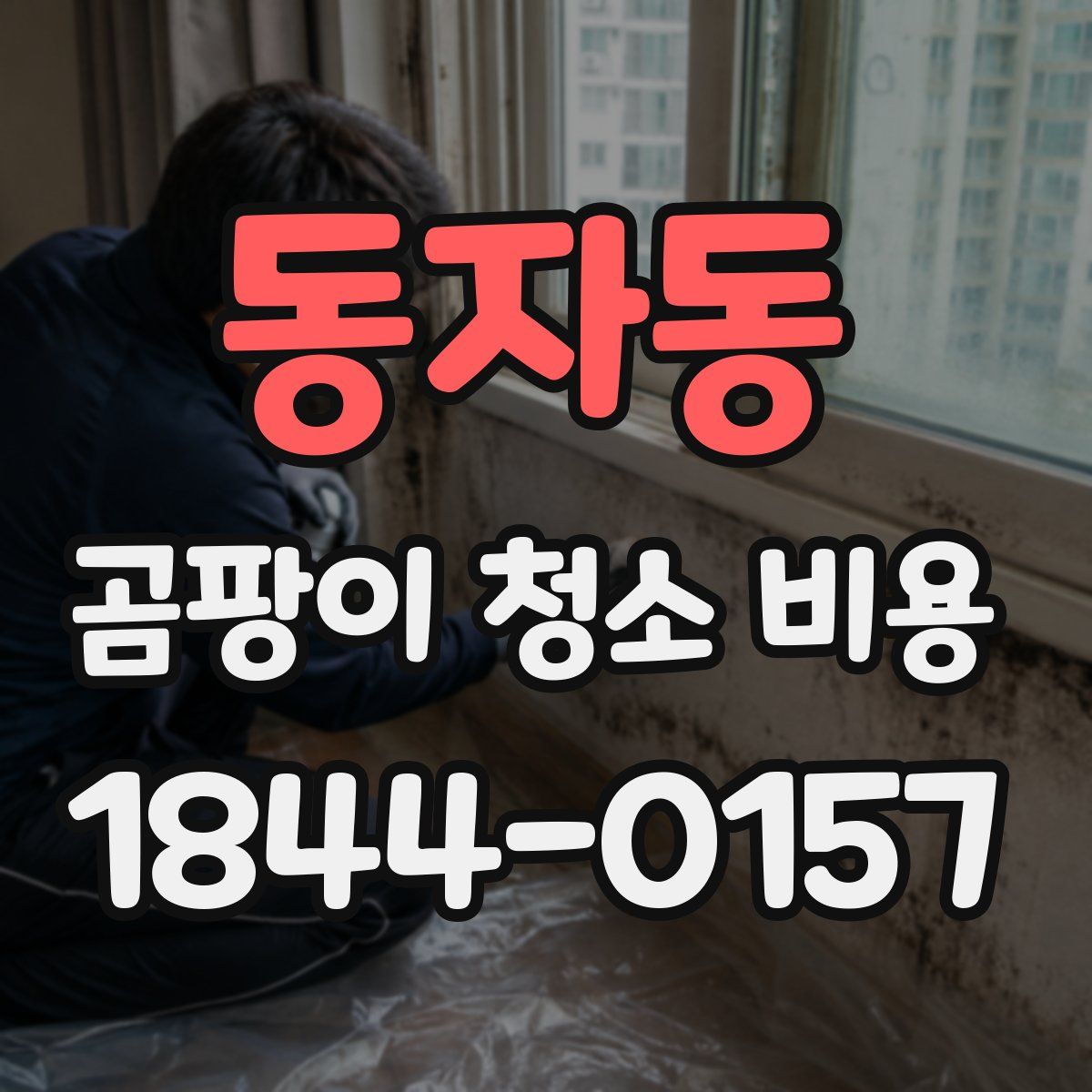 동자동 곰팡이 청소 비용