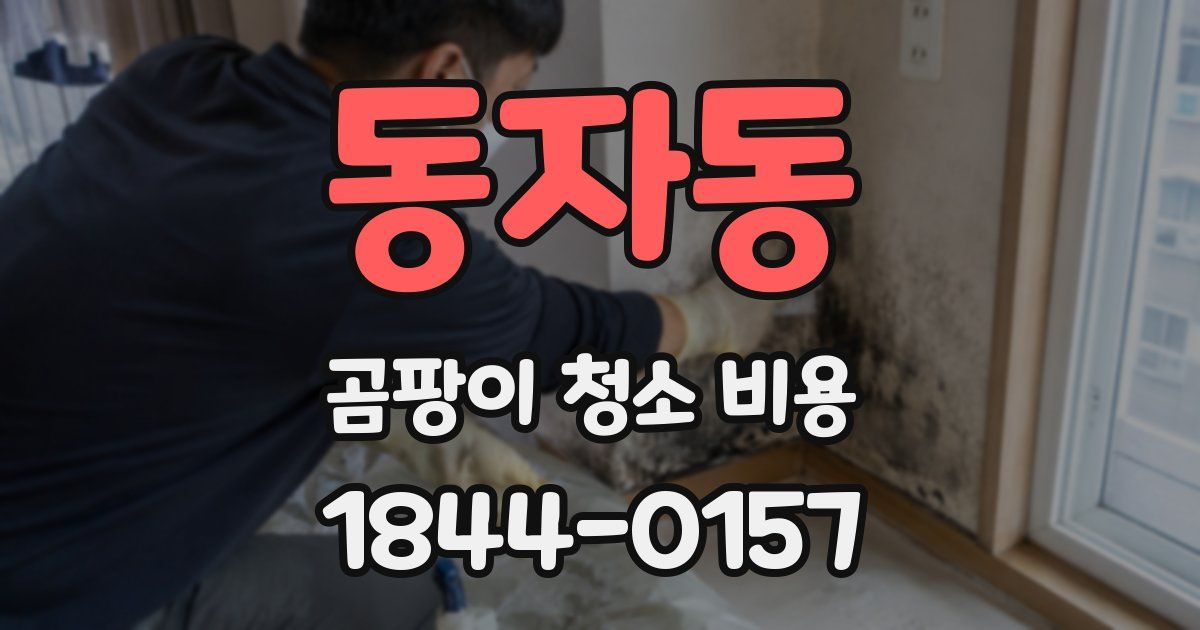 동자동 곰팡이 청소 비용
