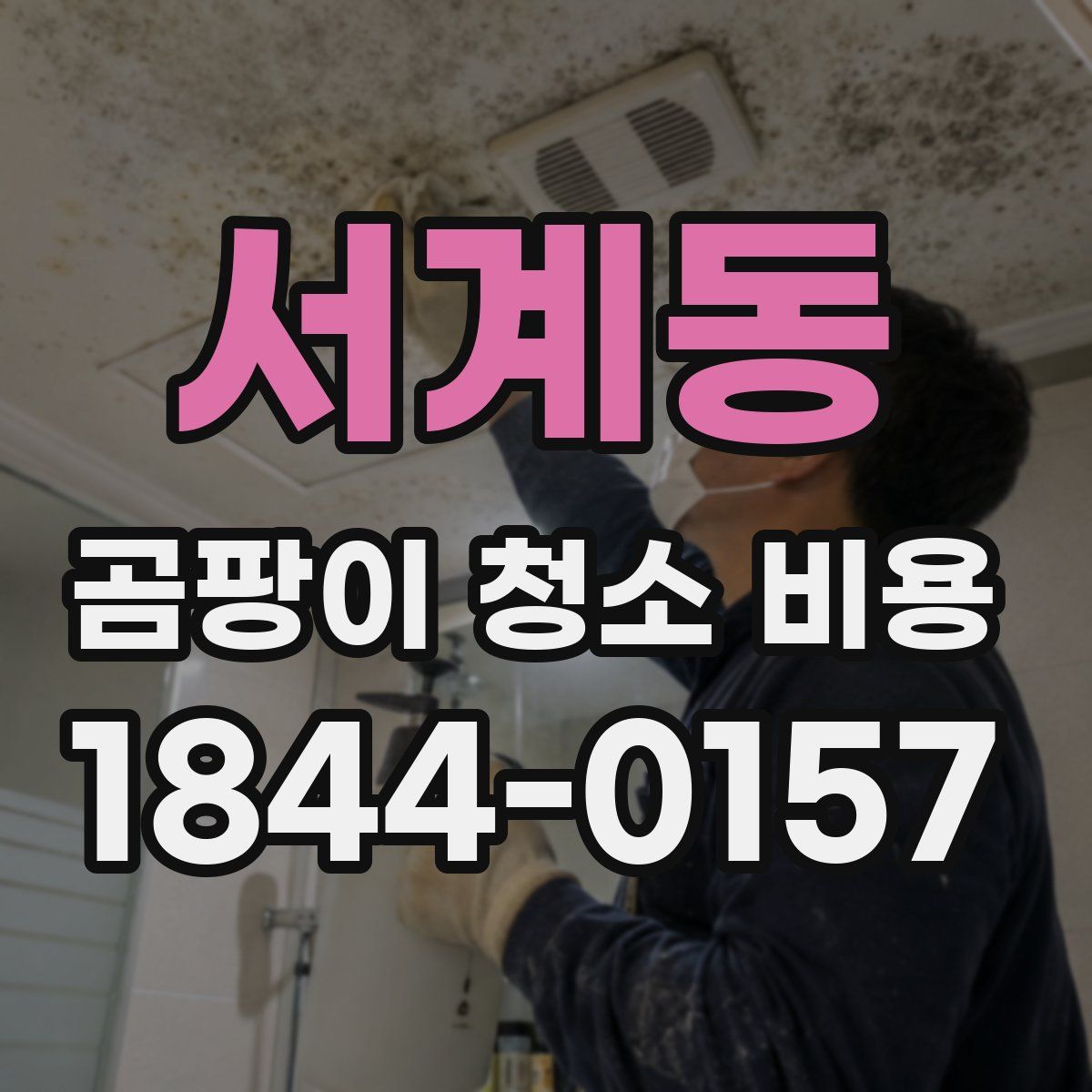 서계동 곰팡이 청소 비용