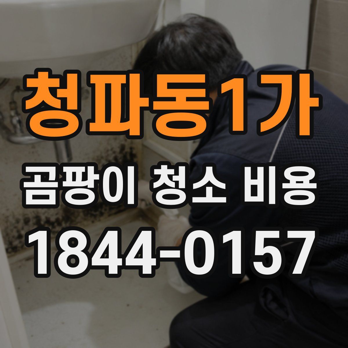 청파동1가 곰팡이 청소 비용