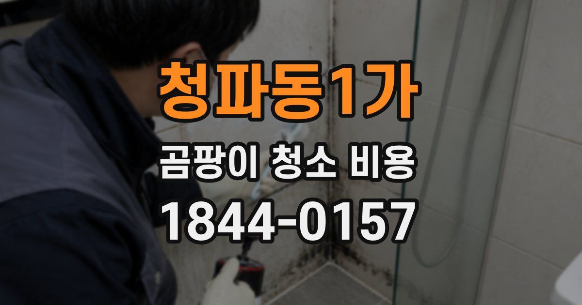 청파동1가 곰팡이 청소 비용