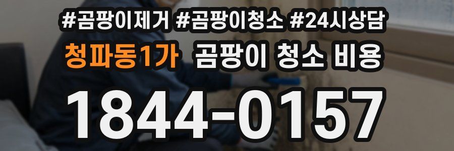 청파동1가 곰팡이 청소 비용