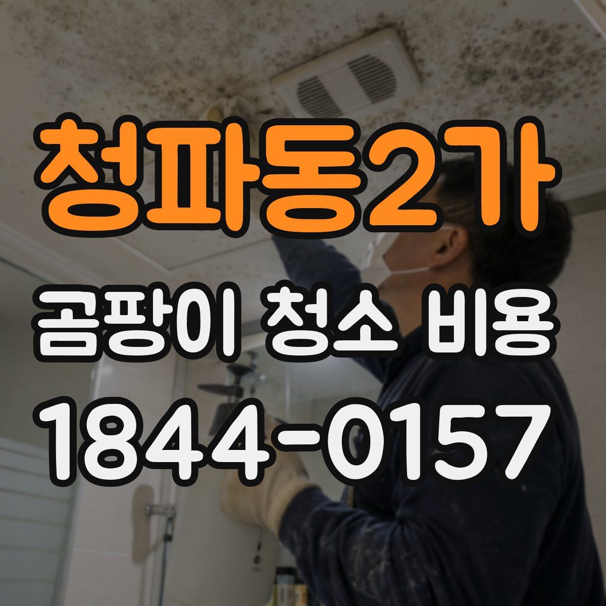 청파동2가 곰팡이 청소 비용