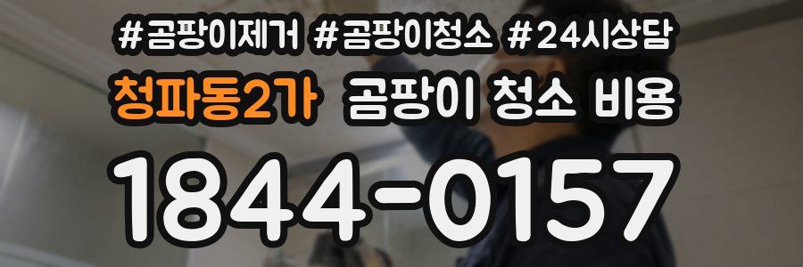 청파동2가 곰팡이 청소 비용