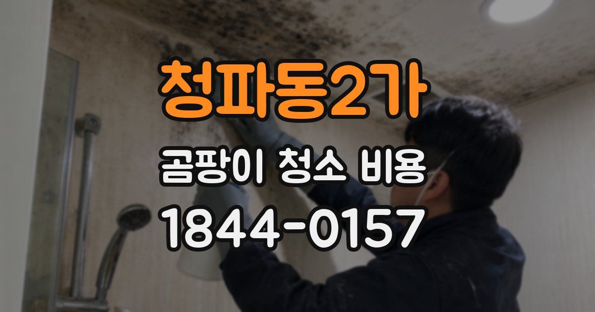 청파동2가 곰팡이 청소 비용