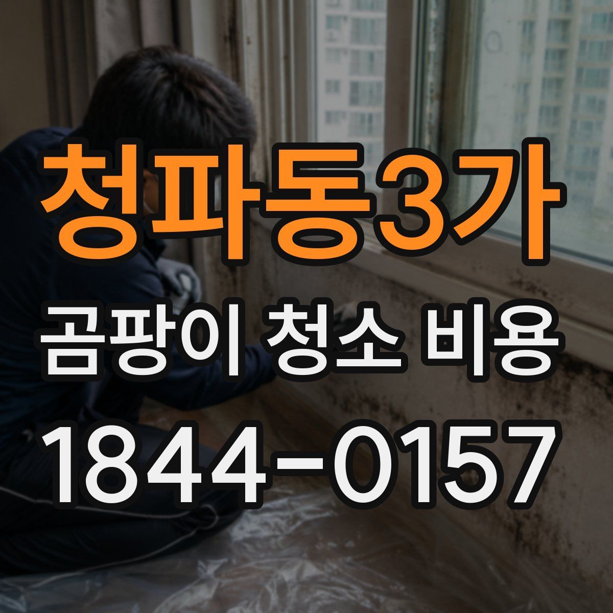 청파동3가 곰팡이 청소 비용