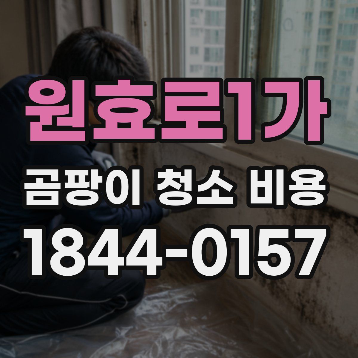 원효로1가 곰팡이 청소 비용