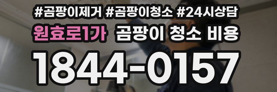 원효로1가 곰팡이 청소 비용