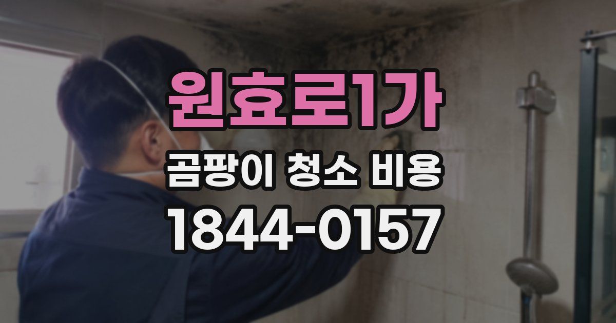 원효로1가 곰팡이 청소 비용