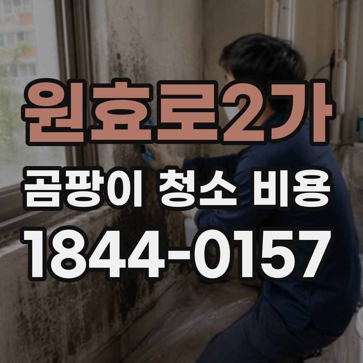 원효로2가 곰팡이 청소 비용