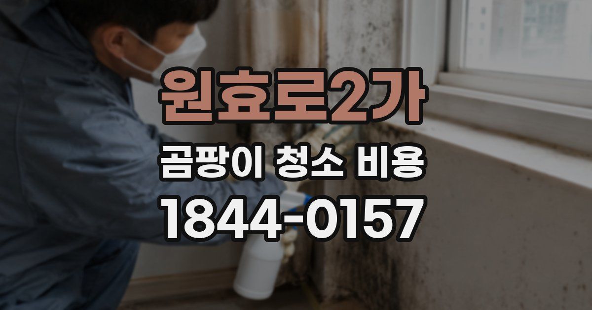 원효로2가 곰팡이 청소 비용