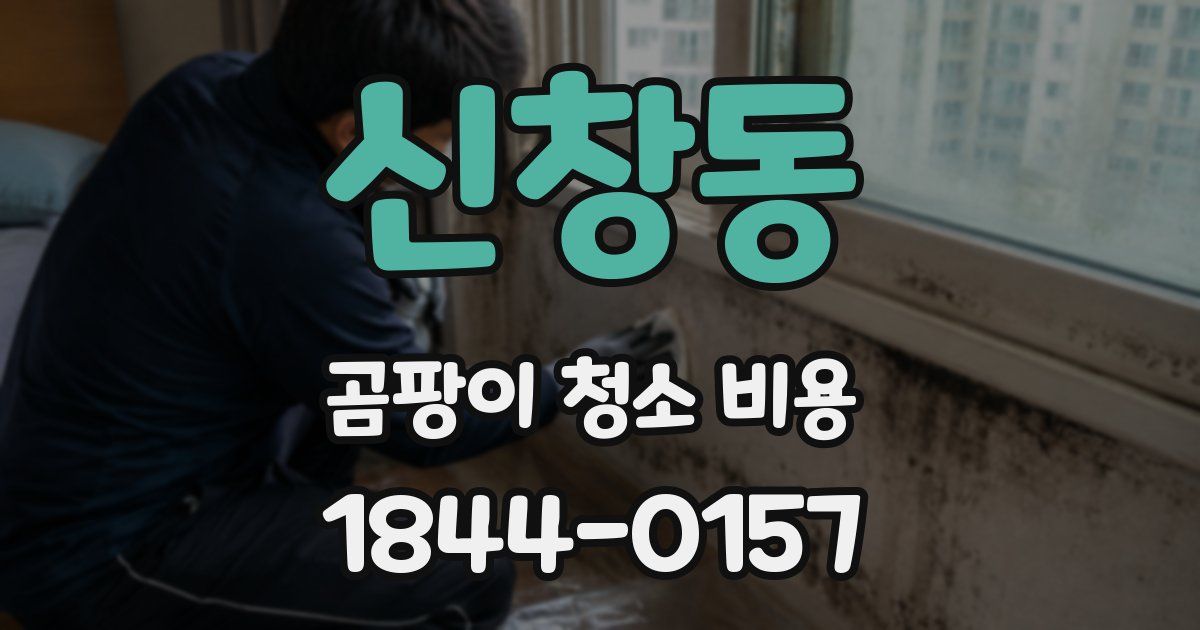신창동 곰팡이 청소 비용