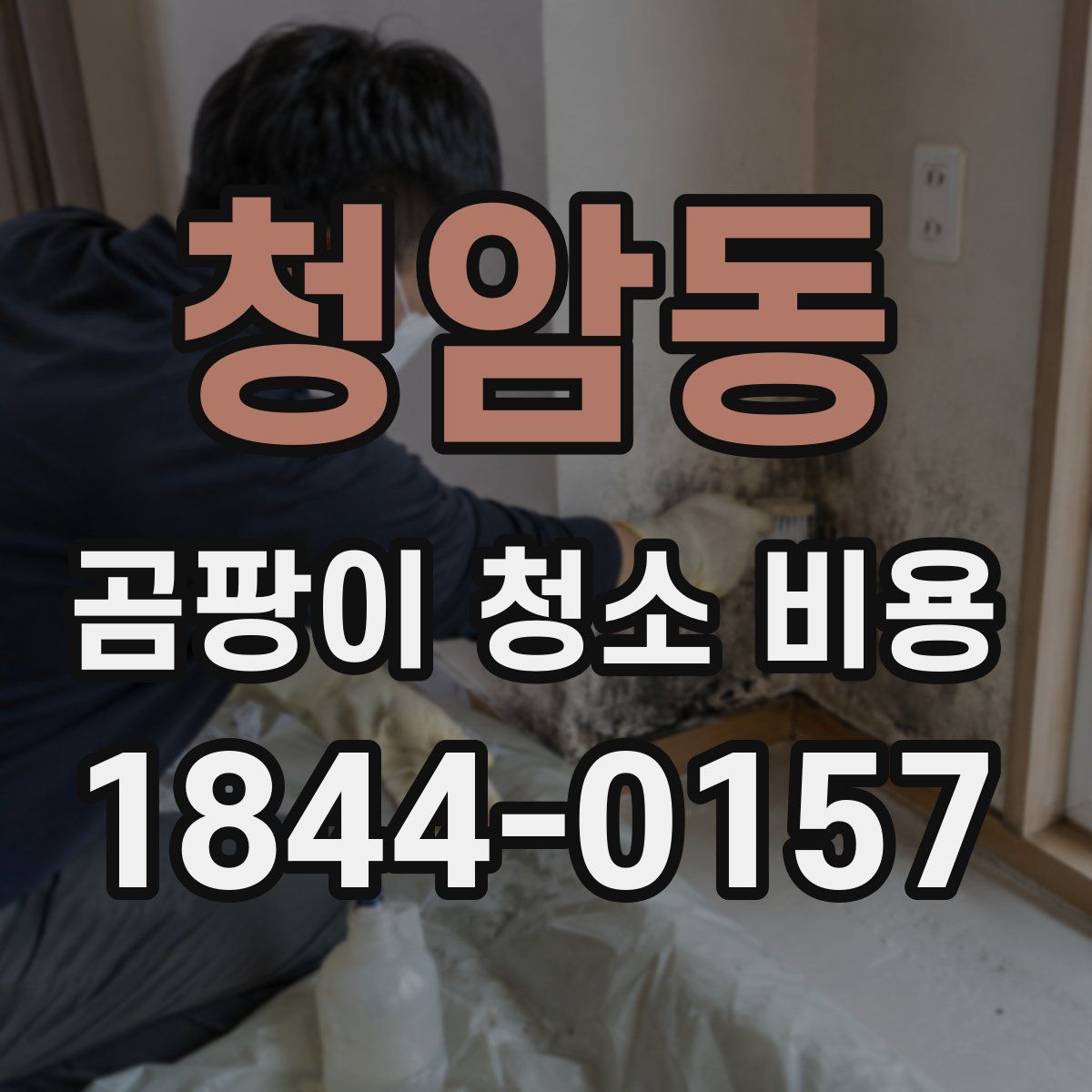 청암동 곰팡이 청소 비용