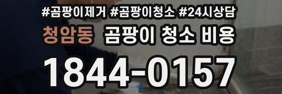 청암동 곰팡이 청소 비용