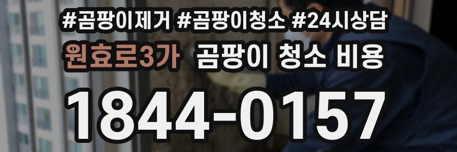 원효로3가 곰팡이 청소 비용