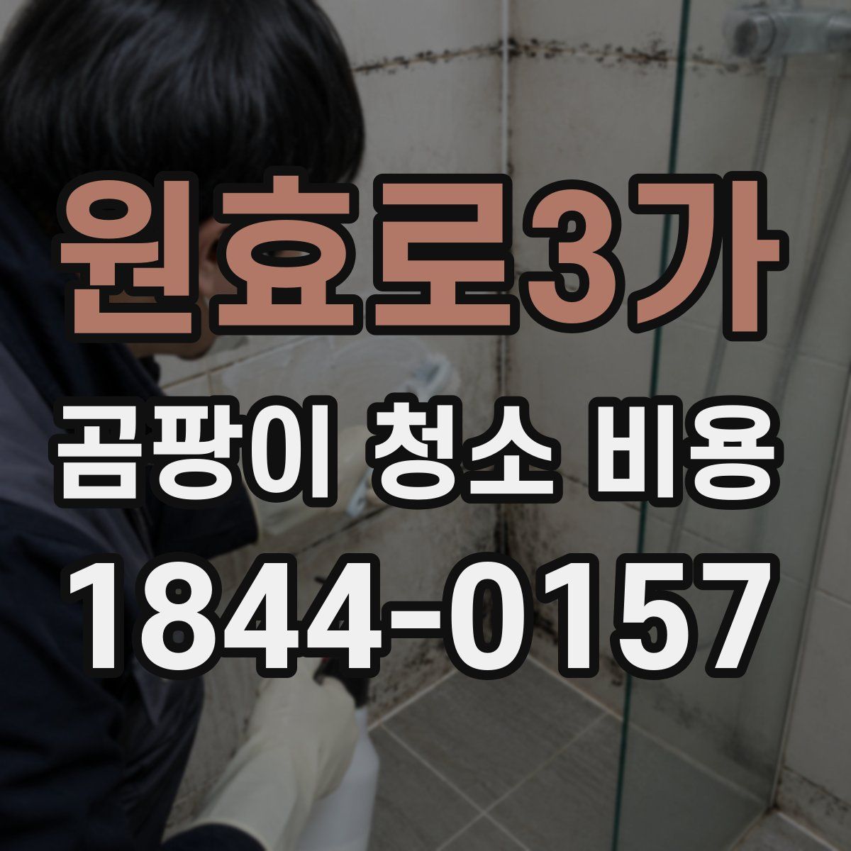 원효로3가 곰팡이 청소 비용