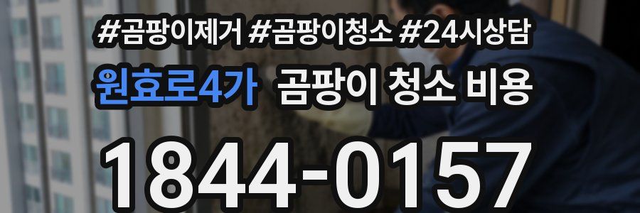원효로4가 곰팡이 청소 비용