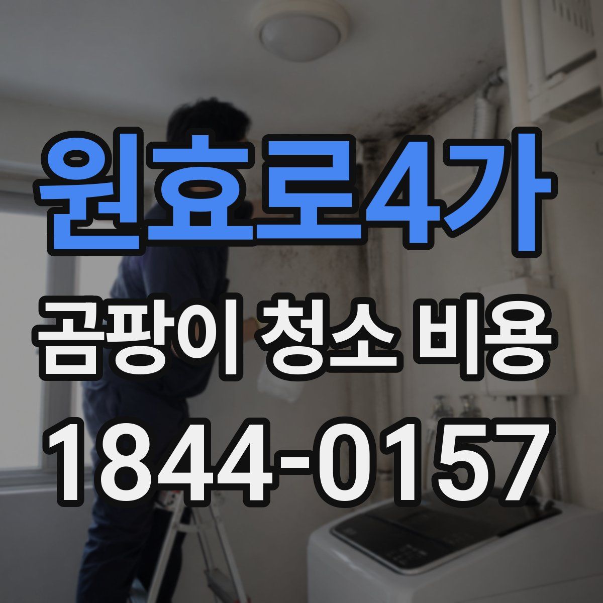 원효로4가 곰팡이 청소 비용