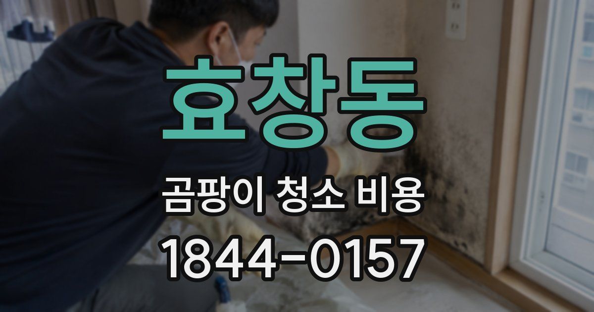 효창동 곰팡이 청소 비용