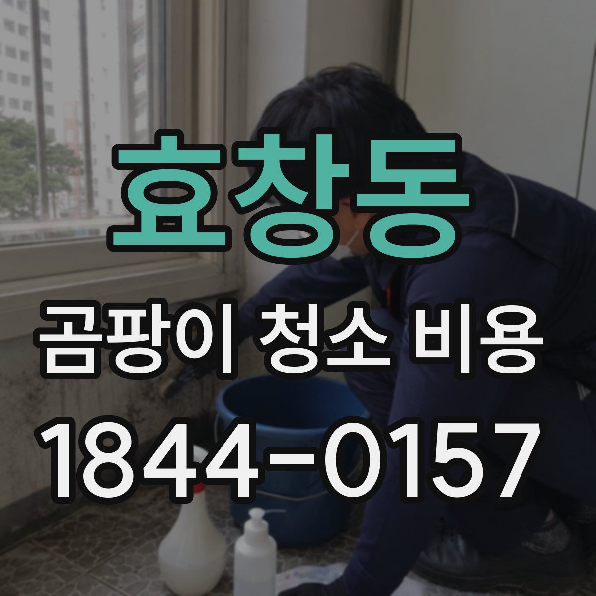 효창동 곰팡이 청소 비용