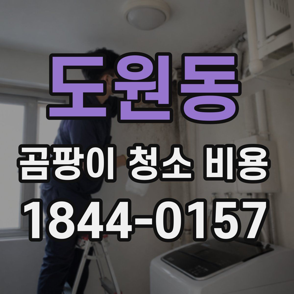 도원동 곰팡이 청소 비용