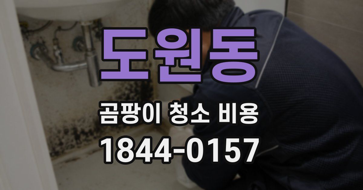 도원동 곰팡이 청소 비용