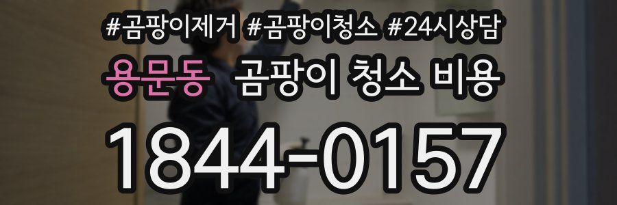 용문동 곰팡이 청소 비용