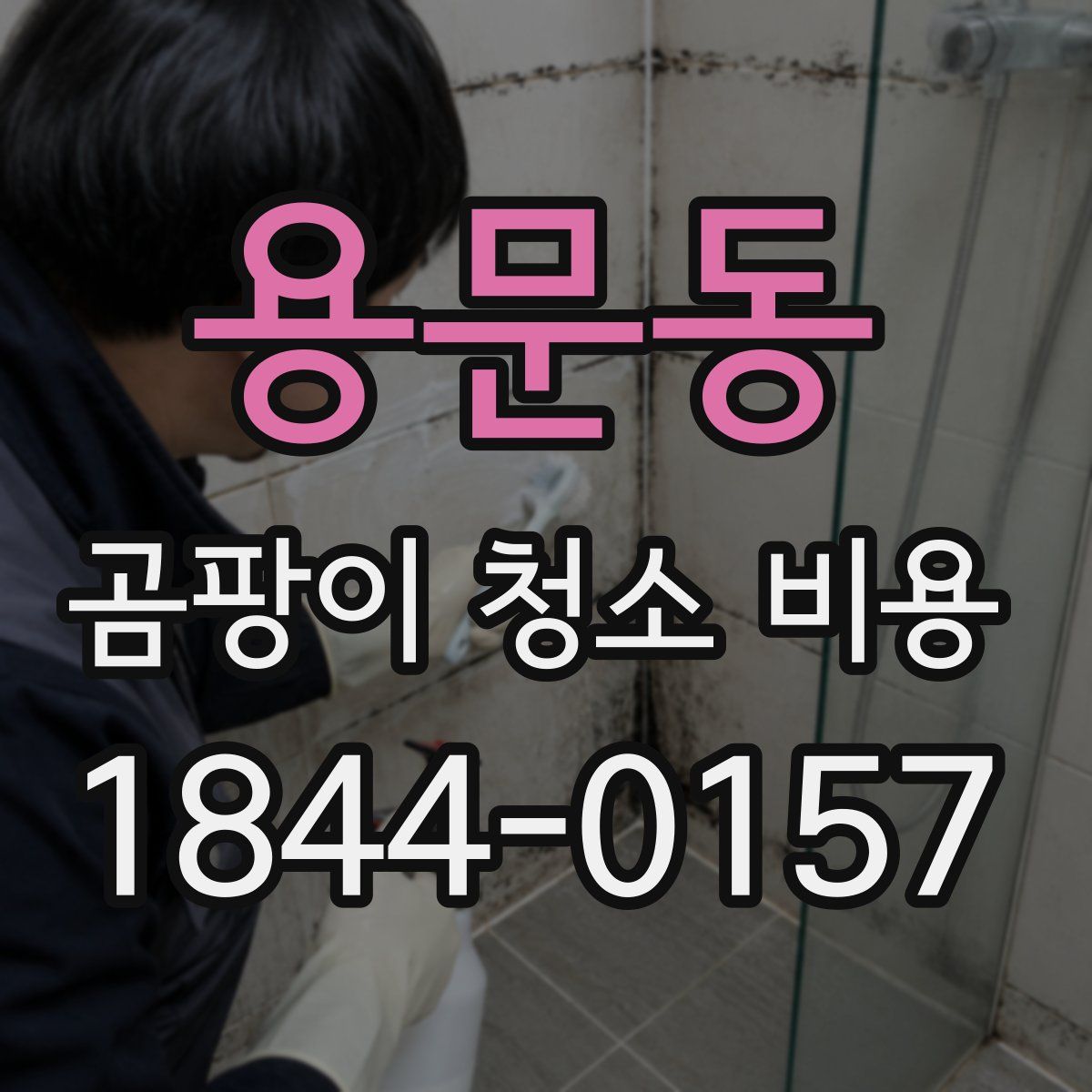용문동 곰팡이 청소 비용