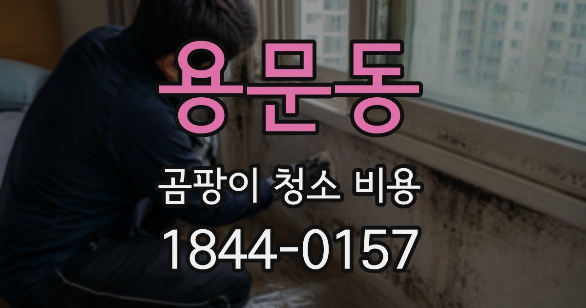 용문동 곰팡이 청소 비용