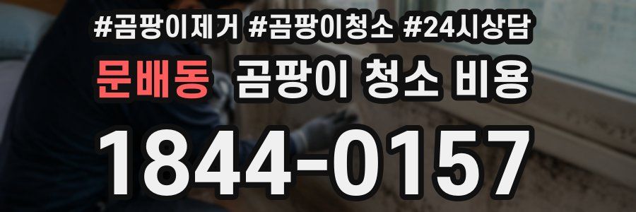 문배동 곰팡이 청소 비용