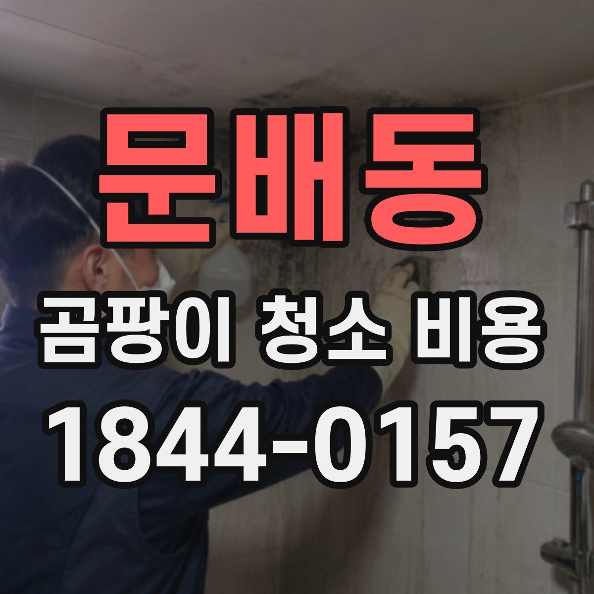 문배동 곰팡이 청소 비용