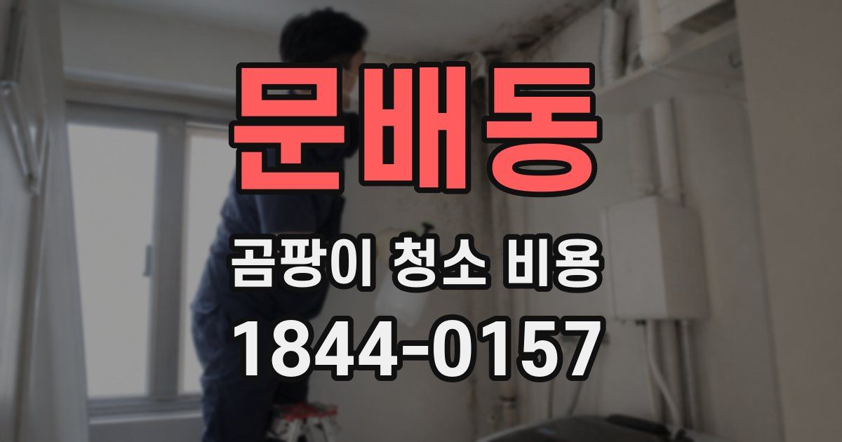 문배동 곰팡이 청소 비용