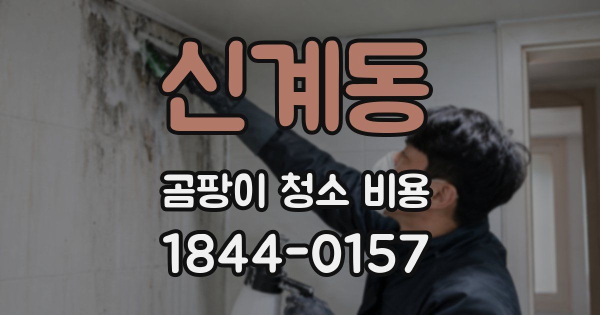 신계동 곰팡이 청소 비용