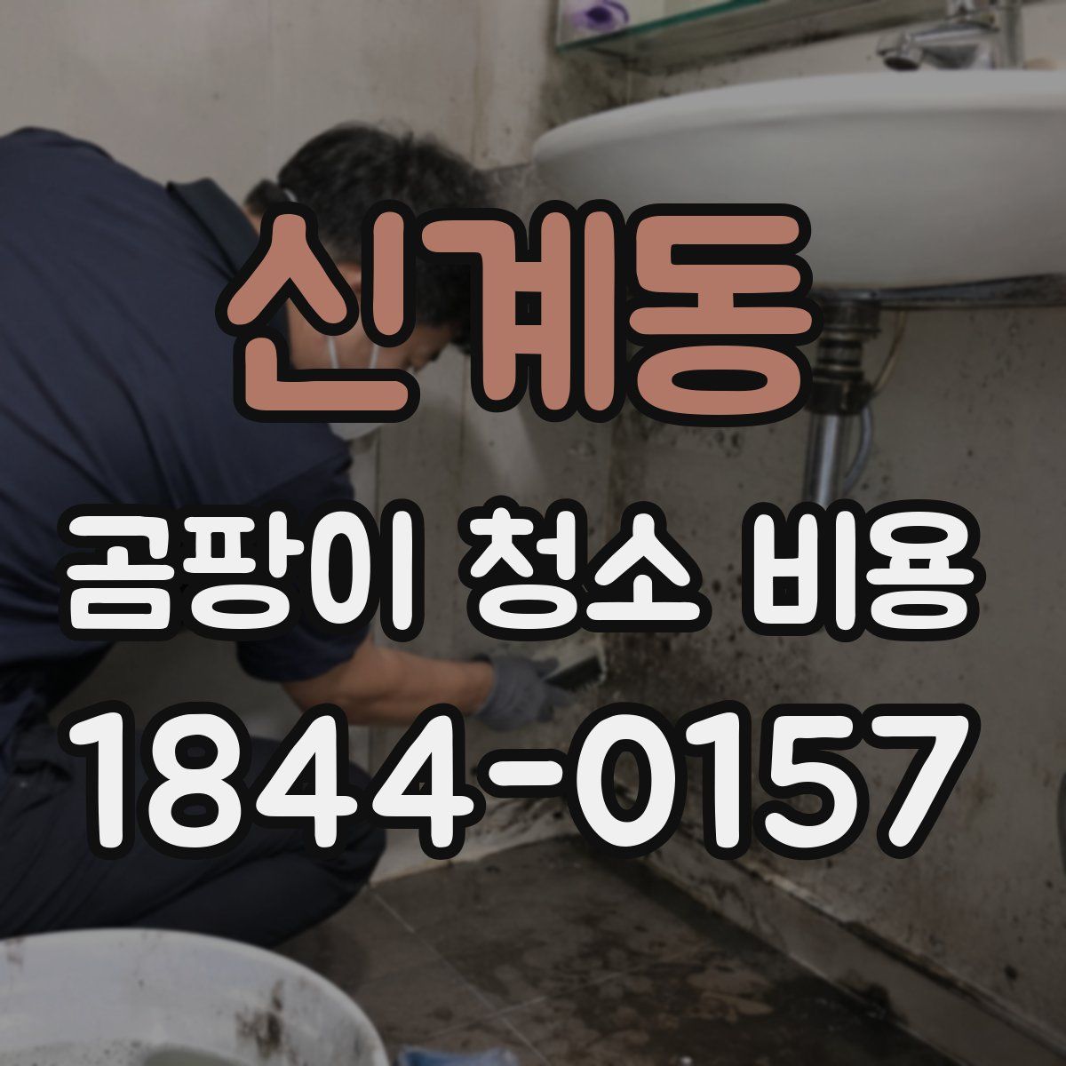 신계동 곰팡이 청소 비용