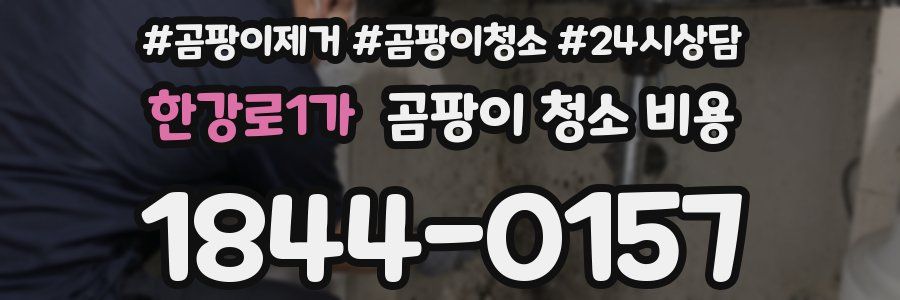 한강로1가 곰팡이 청소 비용