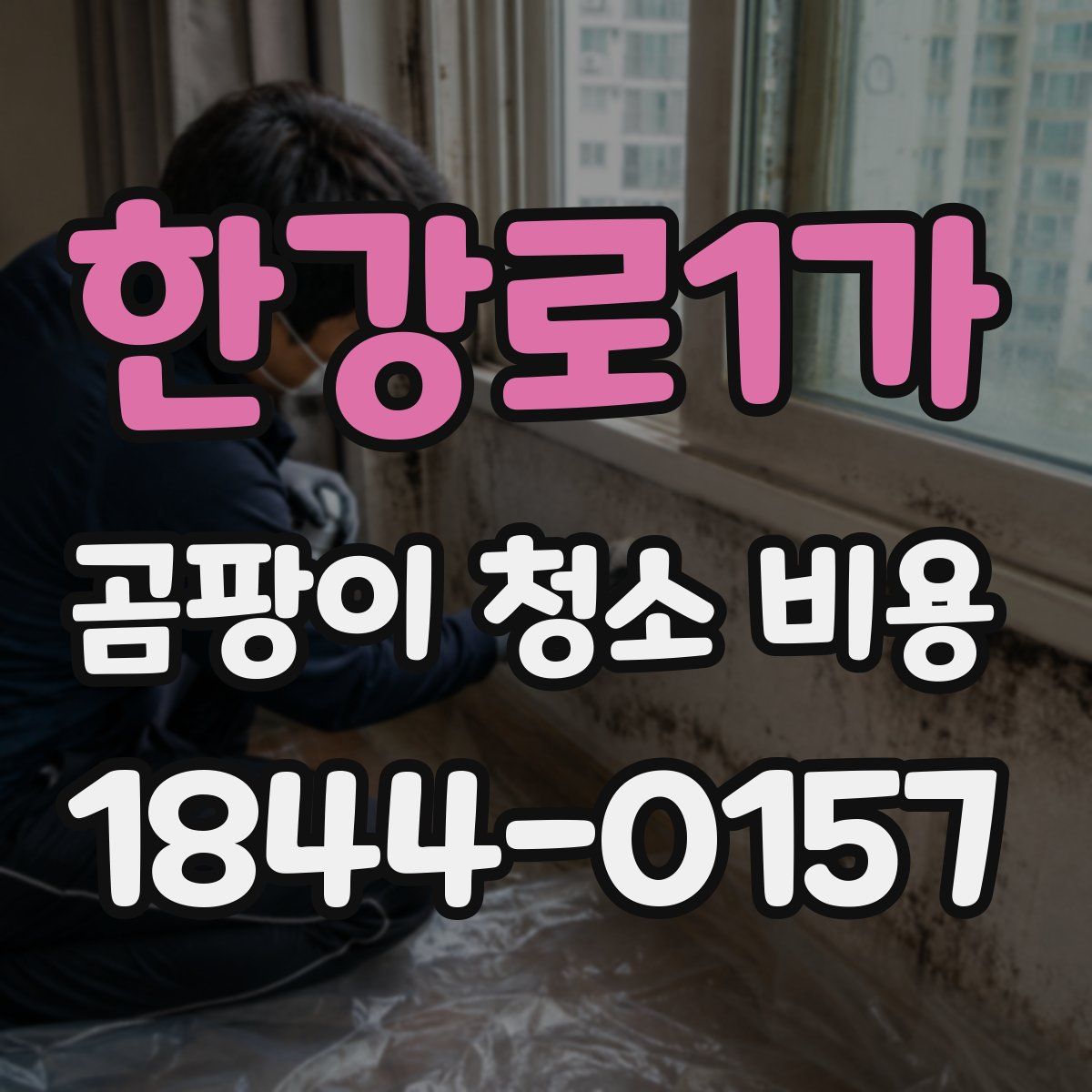 한강로1가 곰팡이 청소 비용