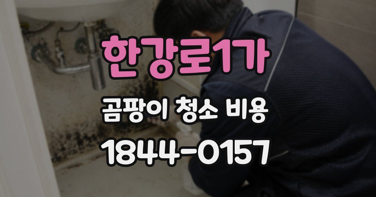 한강로1가 곰팡이 청소 비용