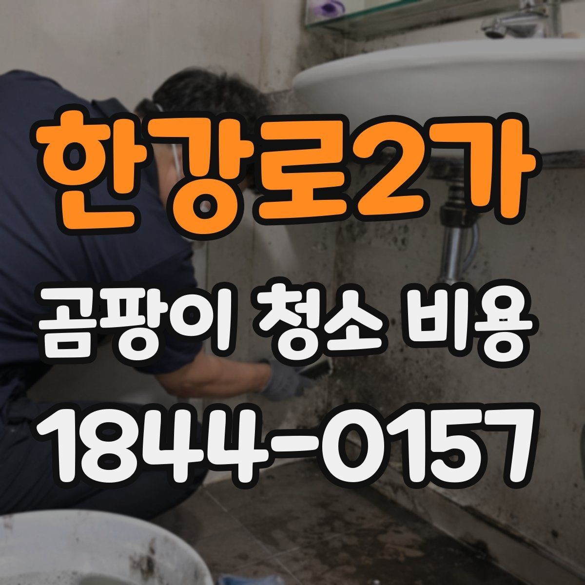 한강로2가 곰팡이 청소 비용 환기 불량 공간에서 더 높아지는 이유