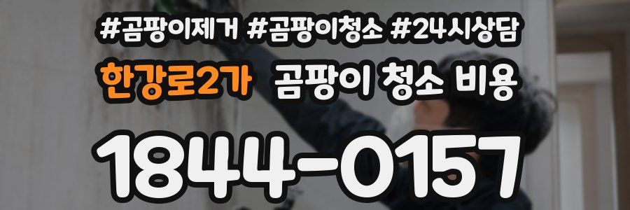 한강로2가 곰팡이 청소 비용