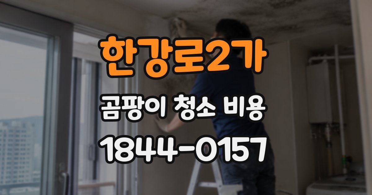 한강로2가 곰팡이 청소 비용