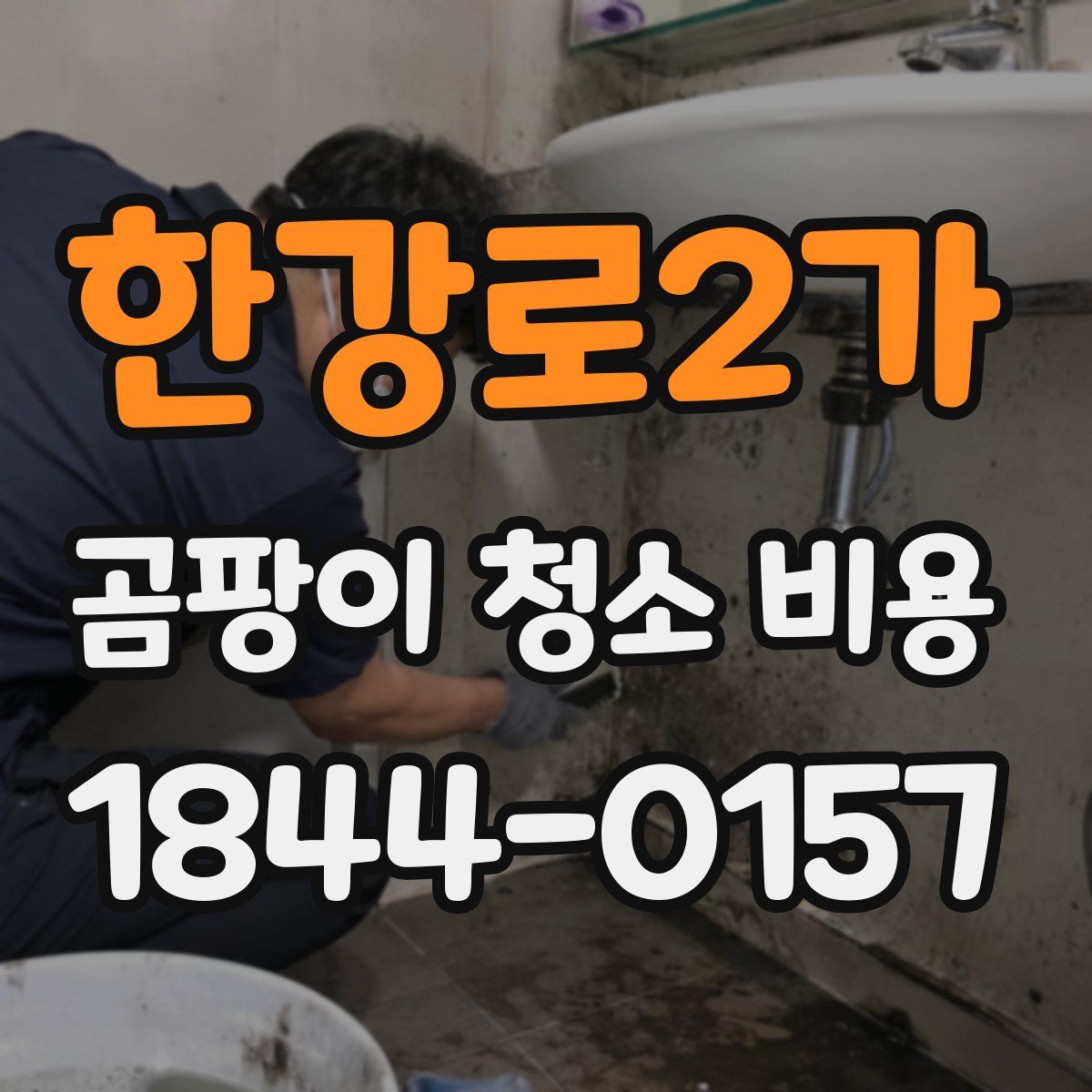 한강로2가 곰팡이 청소 비용