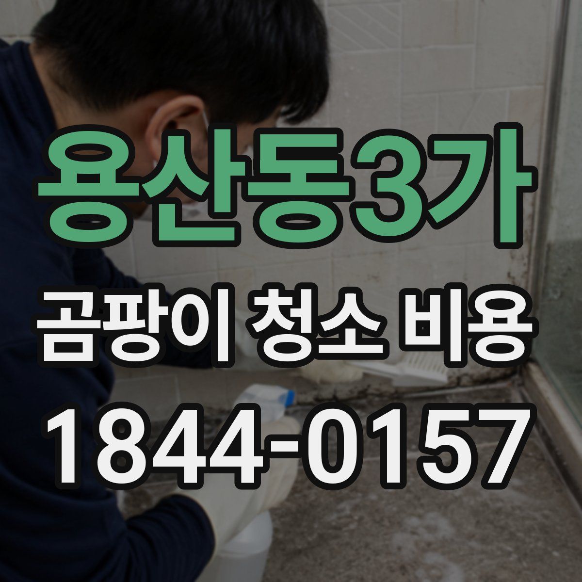 용산동3가 곰팡이 청소 비용