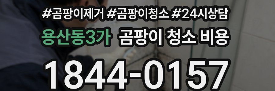 용산동3가 곰팡이 청소 비용
