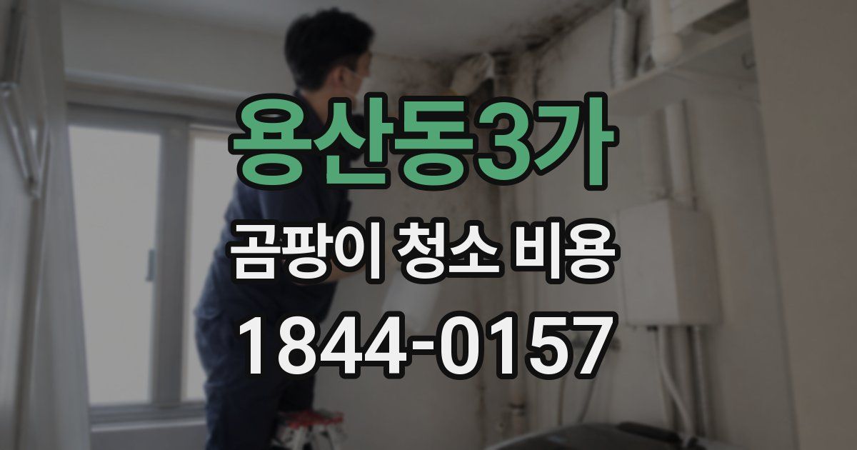 용산동3가 곰팡이 청소 비용