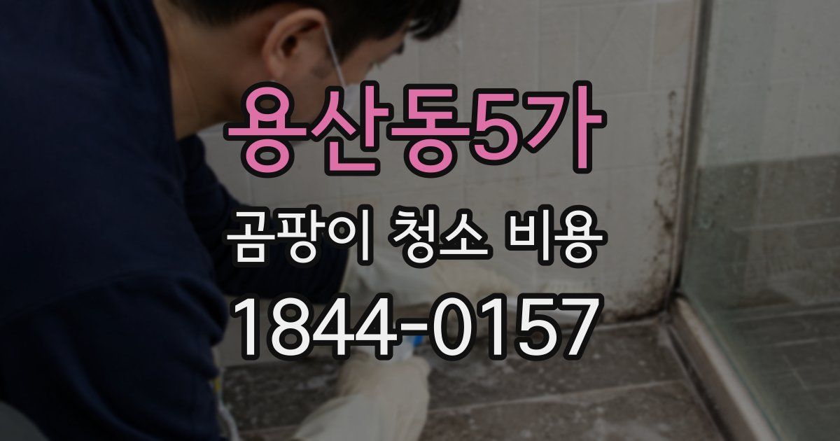 용산동5가 곰팡이 청소 비용